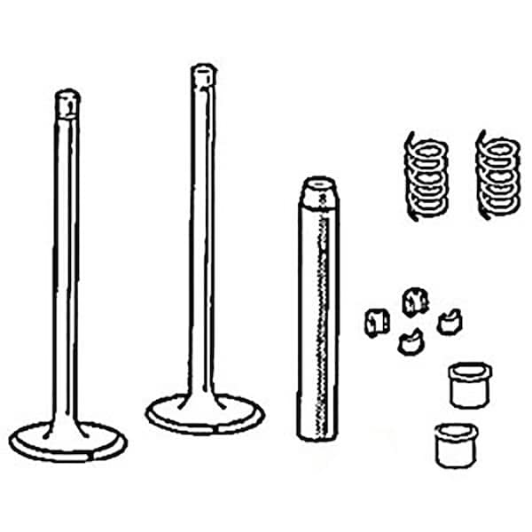 Intake Valve